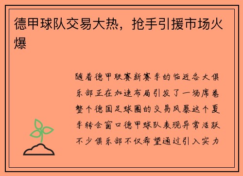 德甲球队交易大热，抢手引援市场火爆